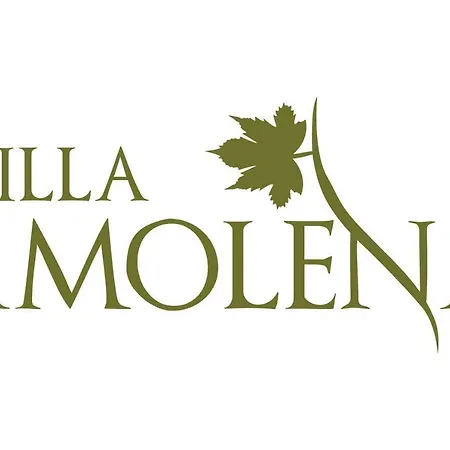 Amolena Apartment